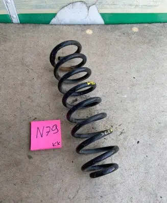 Renault Scenic I Front coil spring