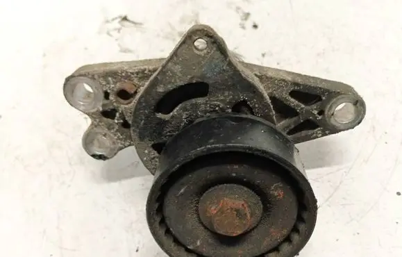 Peugeot Partner Generator/alternator belt tensioner 9652046680
