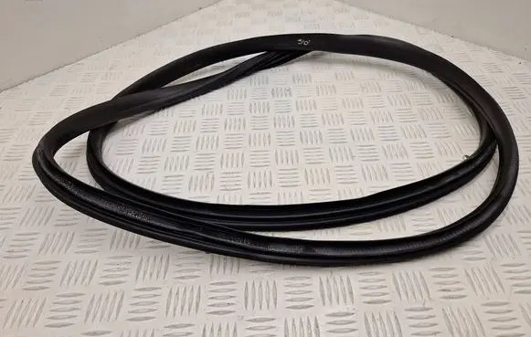 Renault Captur Front door rubber seal