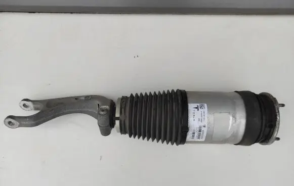 Tesla Model X Front shock absorber/damper 106736100C