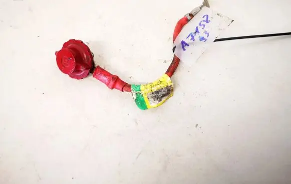 Renault Scenic I Other wiring loom