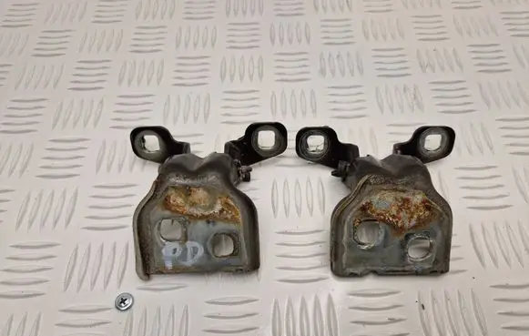 Dacia Duster Front door hinge set