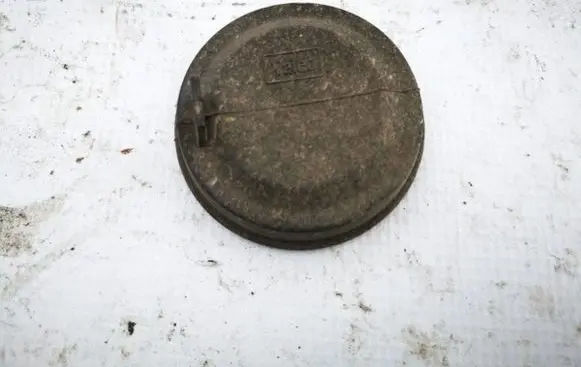 Headlight/headlamp dust cover