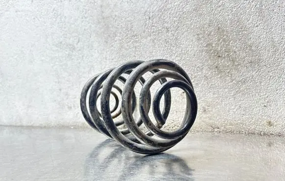 Opel Meriva B Rear coil spring