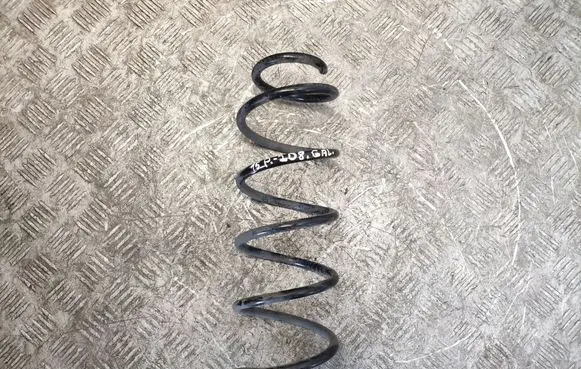 Rear coil spring