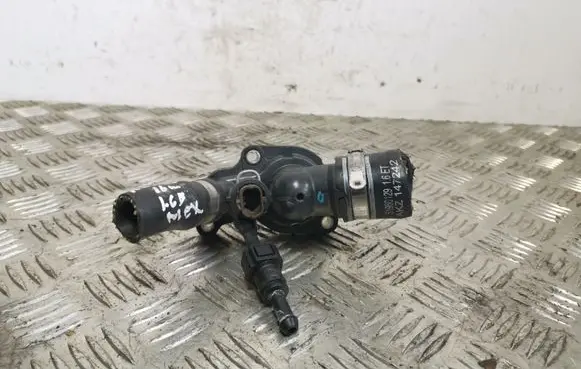 Thermostat/thermostat housing