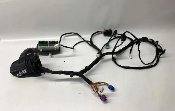 Dodge Charger Front door wiring loom P68293952AA