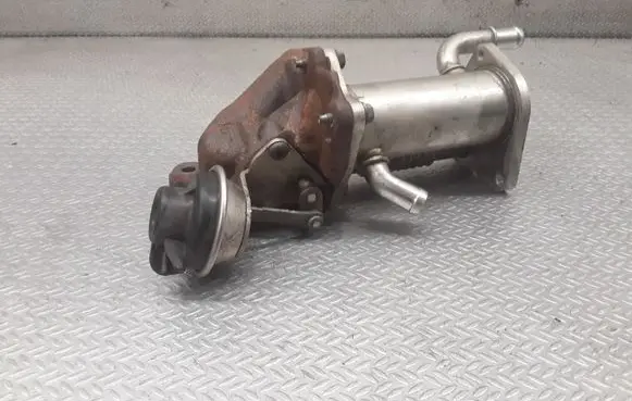 EGR valve cooler