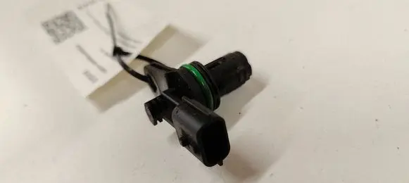 Renault Megane II Camshaft position sensor 0171371173