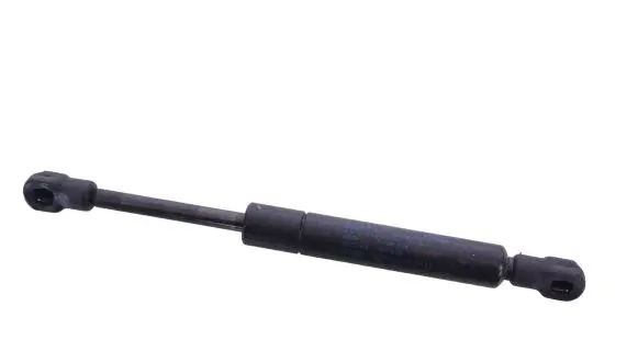 Tailgate/trunk strut/damper