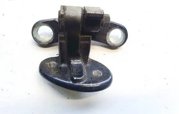 Volvo S40 Rear door lower hinge 6670