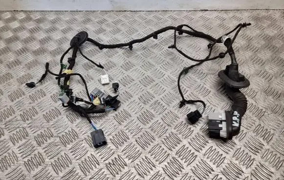 Ford Focus Front door wiring loom JX6T14631 13680668 A1386119