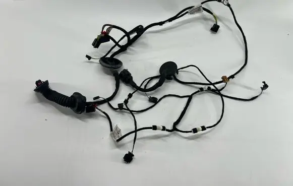 Rear door wiring loom