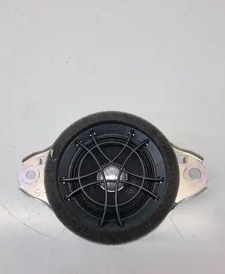 Panel speaker