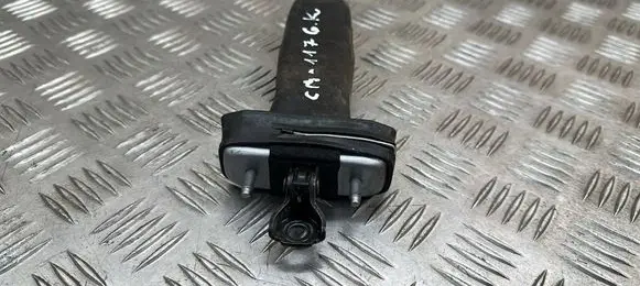 Lexus UX Rear door check strap stopper