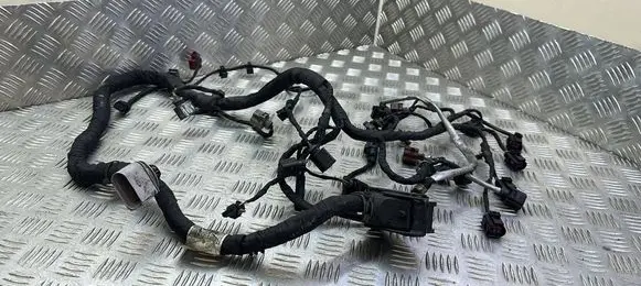 Engine installation wiring loom