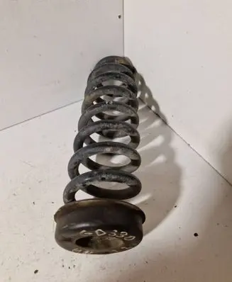 Rear coil spring