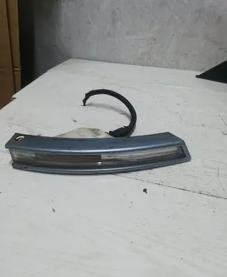 Volkswagen PASSAT B6 Front indicator light