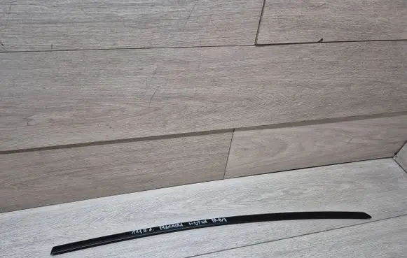 Porsche Panamera (971) Front door trim (molding) 971853055