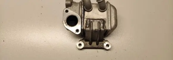 EGR valve cooler