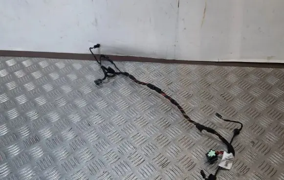 Porsche Panamera (970) Other wiring loom 970612580 97061258000