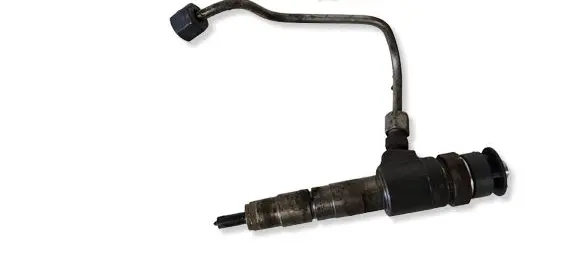 Citroen C3 Fuel injector 0445110340 870692