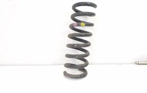Rear coil spring