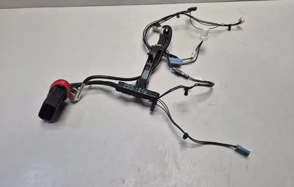 Volkswagen Beetle A5 Headlight/headlamp wiring loom/harness 16218300.BSP