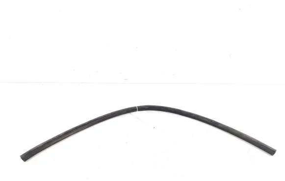 Mini Clubman F54 Rubber seal rear door 7344157