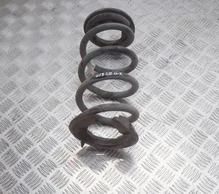 Tesla Model 3 Rear coil spring 104447294A