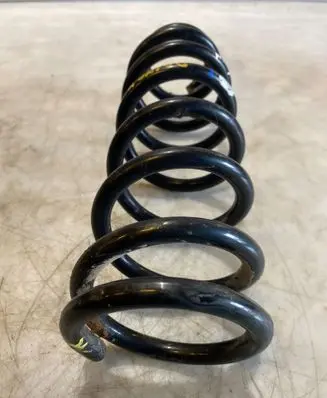 Rear coil spring