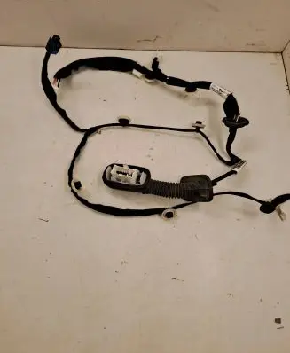 Dacia Sandero III Rear door wiring loom 242106772R 241268485R