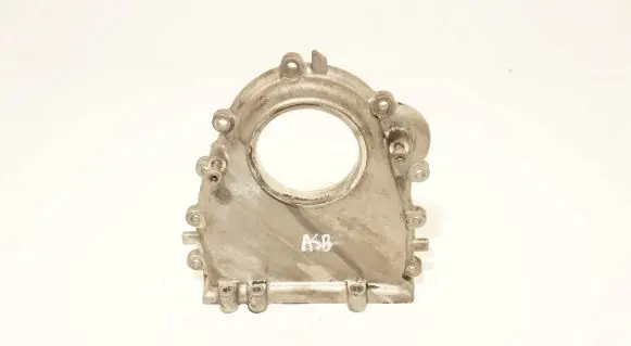 Audi A6 Allroad C6 Timing belt guard (cover) 059109130E