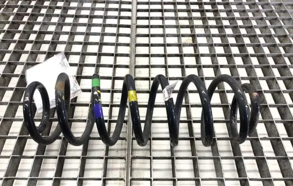 Rear coil spring