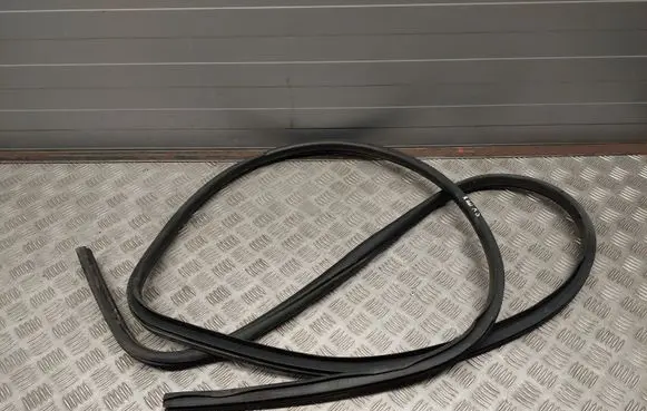 Dodge RAM Front door rubber seal