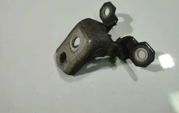 Renault Espace - Grand espace IV Rear door lower hinge