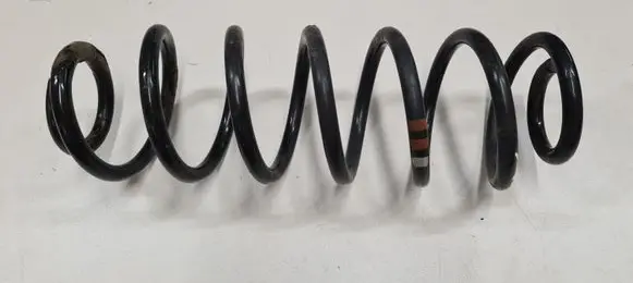 Skoda Octavia Mk2 (1Z) Rear coil spring