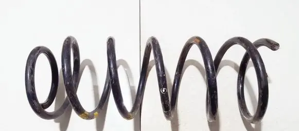 Rear coil spring