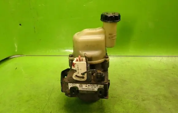 Dacia Logan II Power steering pump 491108089R