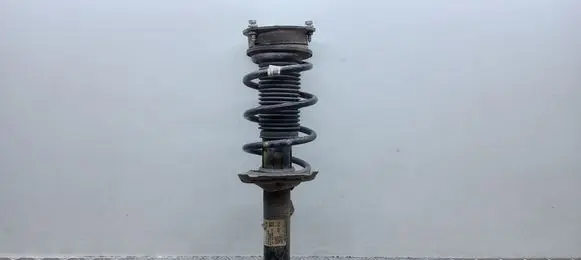 Volkswagen PASSAT B8 Front shock absorber with coil spring 3Q0413031BP 824904010025