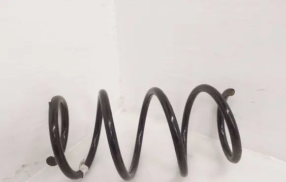 Front coil spring