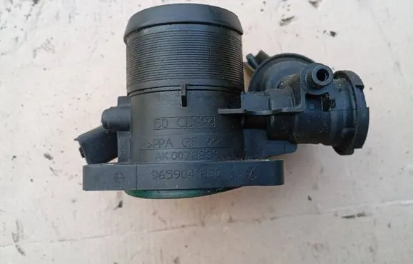 Fiat Scudo Throttle valve 9659041880 AK0078839