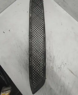 BMW X1 E84 Front grill 