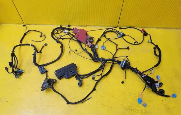Renault Zoe Other wiring loom 403885523R 243458839R