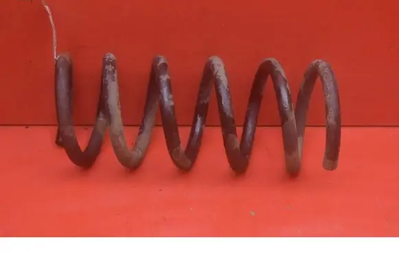 Rear coil spring