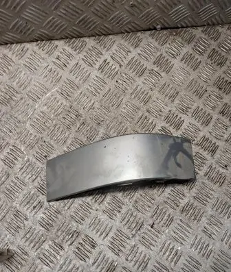Rear/tail light trim molding