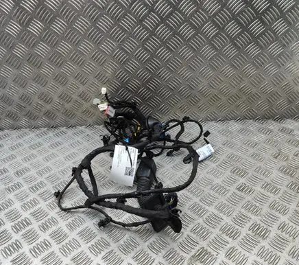 Polestar 2 Front door wiring loom 80015541 6608120815