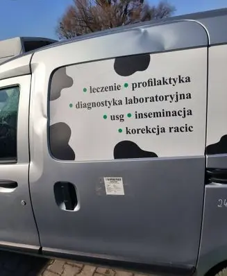 Dacia Dokker Side sliding door TEKQA
