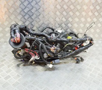 Tesla Model S Other wiring loom 100442304M
