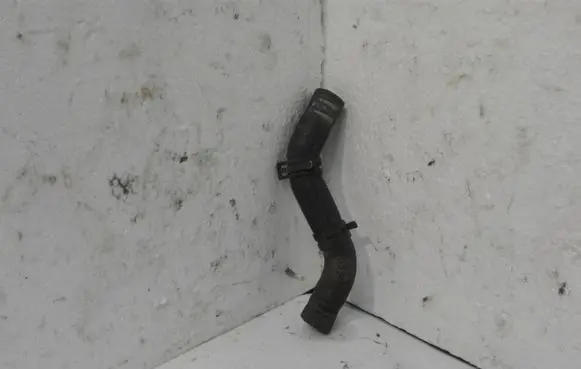Audi A8 S8 D3 4E Engine coolant pipe/hose 4E0203515B